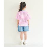 ALCロゴボーダーTシャツ | F.O.Online Store | 詳細画像19 