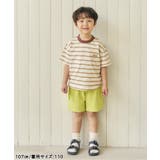 ALCロゴボーダーTシャツ | F.O.Online Store | 詳細画像4 