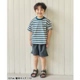 ALCロゴボーダーTシャツ | F.O.Online Store | 詳細画像8 