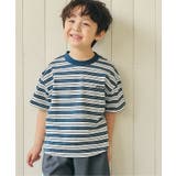 グリーン | ALCロゴボーダーTシャツ | F.O.Online Store