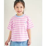 ピンク | ALCロゴボーダーTシャツ | F.O.Online Store