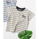 ALCロゴボーダーTシャツ | F.O.Online Store | 詳細画像1 