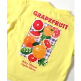 【リンク】バックプリントフルーツロゴTシャツ | F.O.Online Store | 詳細画像13