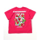 【リンク】バックプリントフルーツロゴTシャツ | F.O.Online Store | 詳細画像7