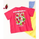 レッド | 【リンク】バックプリントフルーツロゴTシャツ | F.O.Online Store