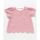 レッド | スカラップハートジャガードTシャツ | F.O.Online Store