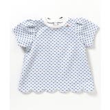 サックス | スカラップハートジャガードTシャツ | F.O.Online Store