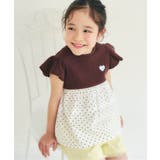 ブラウン | WEB限定 ティアードタックドッキングトップス | F.O.Online Store