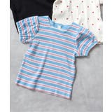 ボーダー柄 | WEB限定 スクエアネックパフスリーブTシャツ | F.O.Online Store
