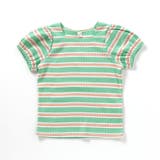 ミント | スクエアネックパフTシャツ | F.O.Online Store
