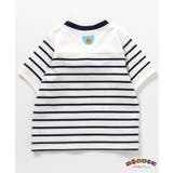チロルチョコ×tiny bear Tシャツ | F.O.Online Store | 詳細画像3 