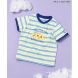 ボーダー柄 | WEB限定 ケアベア/アソートTシャツ | F.O.Online Store