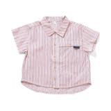 WEB限定 【リンク】まいにちシャツ | F.O.Online Store | 詳細画像17