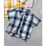 ネイビーブルー | WEB限定 【リンク】まいにちシャツ | F.O.Online Store