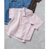 ストライプ柄 | WEB限定 【リンク】まいにちシャツ | F.O.Online Store