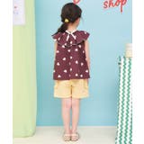 WEB限定 2WAYフリル衿チュニック | F.O.Online Store | 詳細画像6 