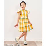WEB限定 【リンク】まいにちワンピース | F.O.Online Store | 詳細画像28