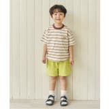 ヘンリーネックスターパッチセットアップ  5分丈 | F.O.Online Store | 詳細画像23 