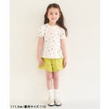 スカラップハートポケットきゅんパンツ  ショート丈 | F.O.Online Store | 詳細画像65 