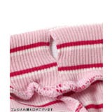 WEB限定 マルチボーダーレギンス  10分丈 | F.O.Online Store | 詳細画像19 