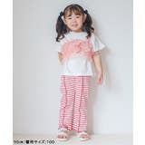 WEB限定 マルチボーダーレギンス 10分丈 | F.O.Online Store | 詳細画像23