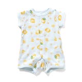 サックス | バラエティ総柄ワッフルロンパス | F.O.Online Store