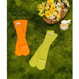 little bunny ベビールーズソックス | F.O.Online Store | 詳細画像9 