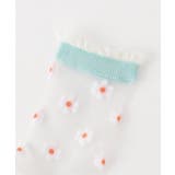 シアーソックス | F.O.Online Store | 詳細画像4