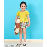 【UVカット リンク】ギンガム トロピカル | F.O.Online Store | 詳細画像24