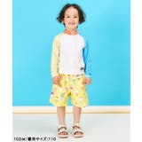【リンク】アイス・トロピカル・ストライプ柄トランクス水着 UVカット | F.O.Online Store | 詳細画像17
