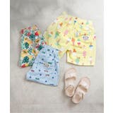 【リンク】アイス・トロピカル・ストライプ柄トランクス水着 UVカット | F.O.Online Store | 詳細画像19