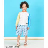 【リンク】アイス・トロピカル・ストライプ柄トランクス水着 UVカット | F.O.Online Store | 詳細画像3