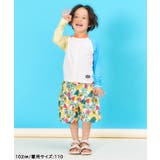 【リンク】アイス・トロピカル・ストライプ柄トランクス水着 UVカット | F.O.Online Store | 詳細画像6