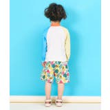 【リンク】アイス・トロピカル・ストライプ柄トランクス水着 UVカット | F.O.Online Store | 詳細画像7