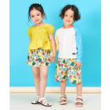【リンク】アイス・トロピカル・ストライプ柄トランクス水着 UVカット | F.O.Online Store | 詳細画像8