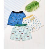 サファリカー・海モチーフ・ヨット柄トランクス水着_UVカット | F.O.Online Store | 詳細画像25 