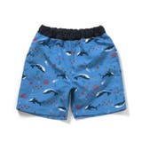 サファリカー・海モチーフ・ヨット柄トランクス水着_UVカット | F.O.Online Store | 詳細画像5 