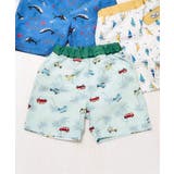 グリーン | サファリカー・海モチーフ・ヨット柄トランクス水着_UVカット | F.O.Online Store