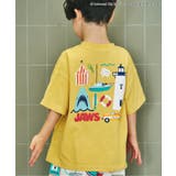 マスタード | JAWS Tシャツ | F.O.Online Store
