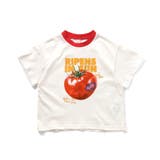 5柄アソートTシャツ | F.O.Online Store | 詳細画像12 