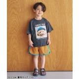 5柄アソートTシャツ | F.O.Online Store | 詳細画像9 