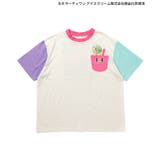 【リンク】サーティワン Tシャツ(大人) | F.O.Online Store | 詳細画像13