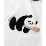 【リンク】アドベンチャーワールドどうぶつモチーフT_おとな | F.O.Online Store | 詳細画像11