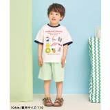5柄アソート転写モチーフTシャツ 接触冷感 | F.O.Online Store | 詳細画像6 