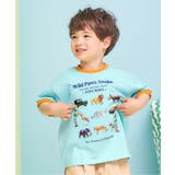 サックス | 5柄アソート転写モチーフTシャツ 接触冷感 | F.O.Online Store