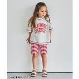 【リンク】アソートロゴTシャツ | F.O.Online Store | 詳細画像9
