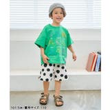 アソートロゴ・モチーフTシャツ | F.O.Online Store | 詳細画像10 