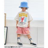 アソートロゴ・モチーフTシャツ | F.O.Online Store | 詳細画像16 