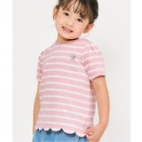 裾スカラップアソートTシャツ_接触冷感 | F.O.Online Store | 詳細画像1 