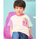 【リンク】サーティワン Tシャツ | F.O.Online Store | 詳細画像1 